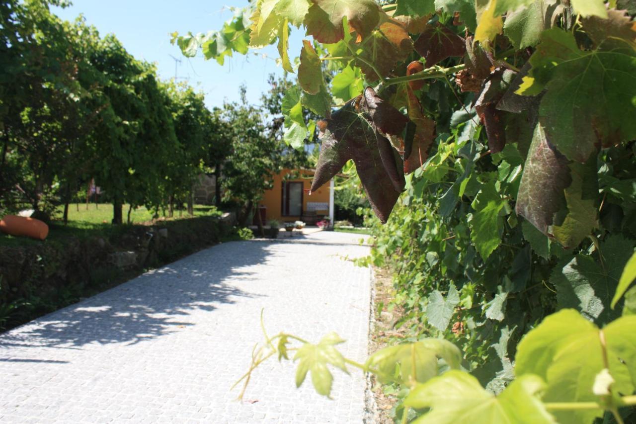 Casa Matreiro Villa Prozelo Eksteriør billede