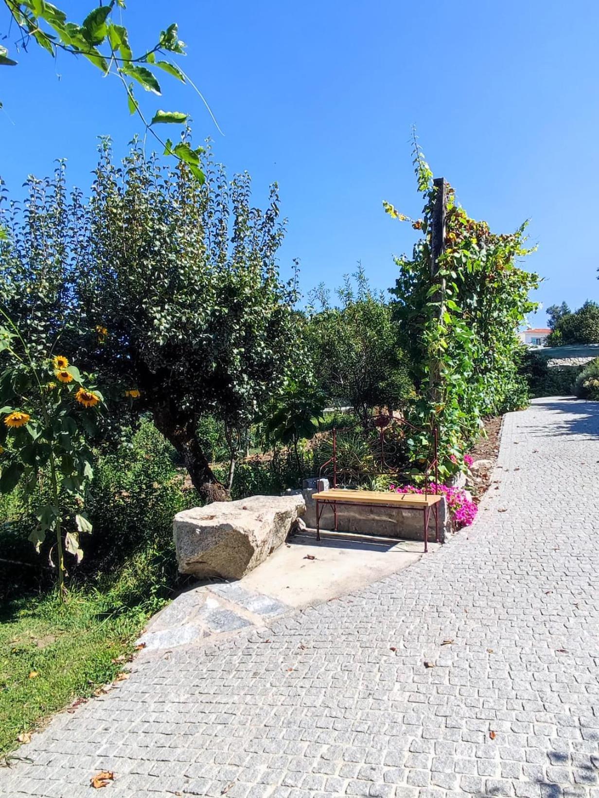 Casa Matreiro Villa Prozelo Eksteriør billede