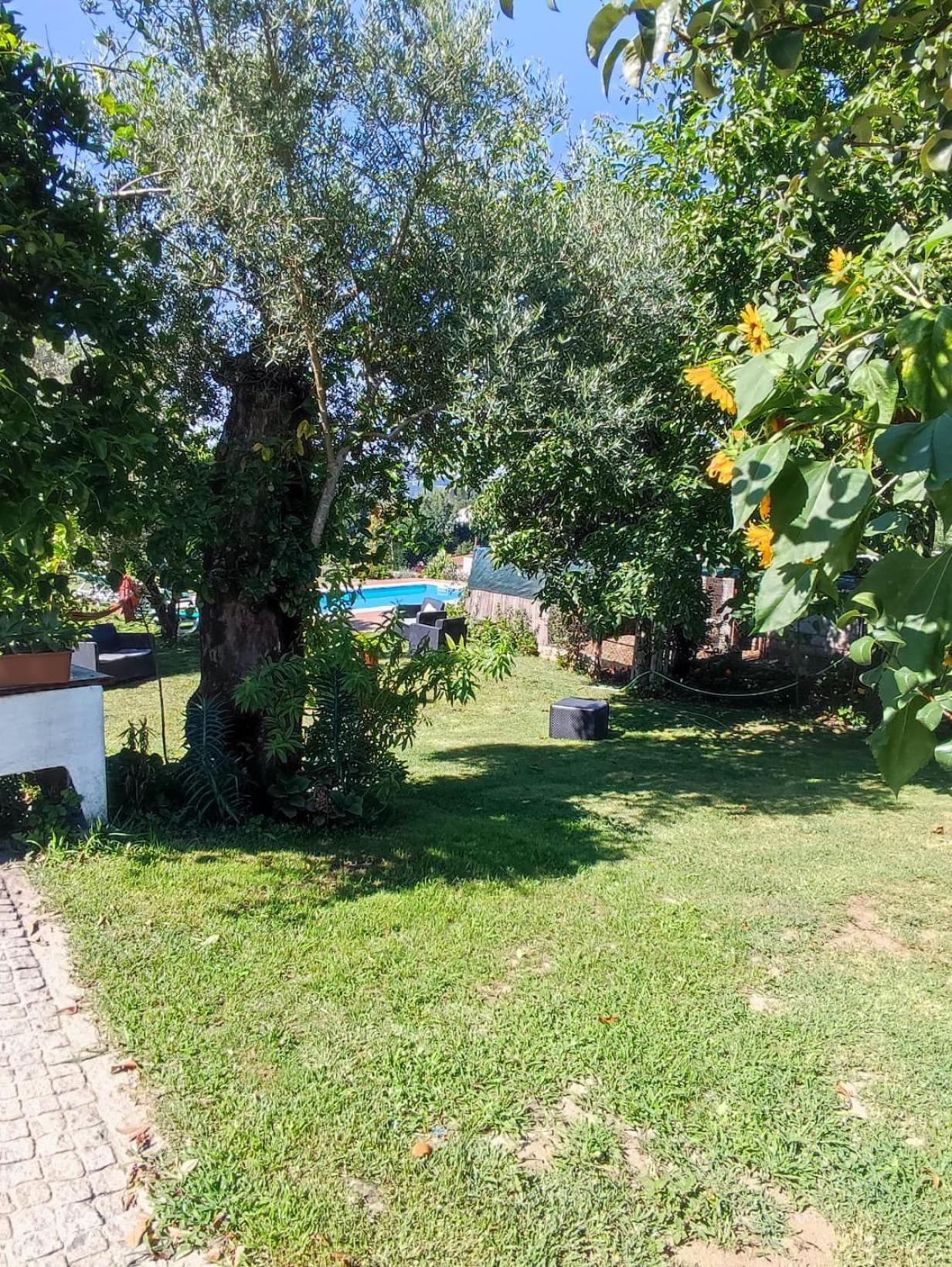 Casa Matreiro Villa Prozelo Eksteriør billede